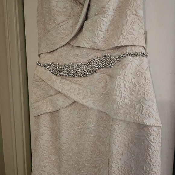 Terani Couture Blush and Gold Evening Gown - Picture 7 of 10